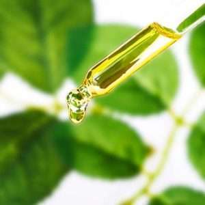 2精華液 / 精質乳